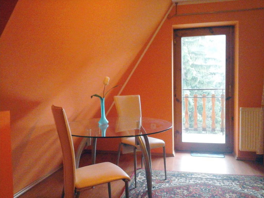 Trapez Apartment Zakopane Cameră foto